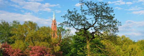 Dąbrowa Górnicza | Park Hallera